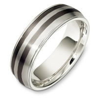 Titanium and 18 Kt White Gold Wedding Band 