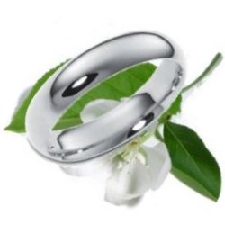 Plain Wedding Rings