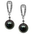 Tahitian and South Sea pearl Earrings