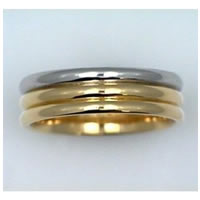 Item # 21694PE - Platinum & 18 kt Wedding Band
